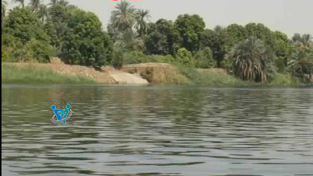 جزيرة المنصورية بأسوان لن تصدق جمالها من الداخل ولكنها تُعاني 6 المنصورية 1